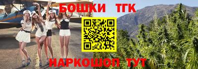 шишки Кандалакша