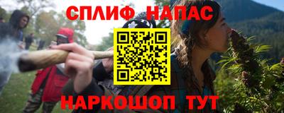 шишки Кандалакша
