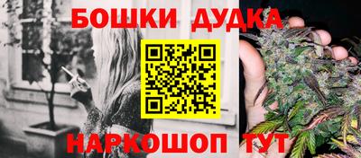 шишки Кандалакша