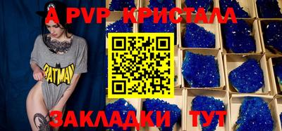 шишки Кандалакша