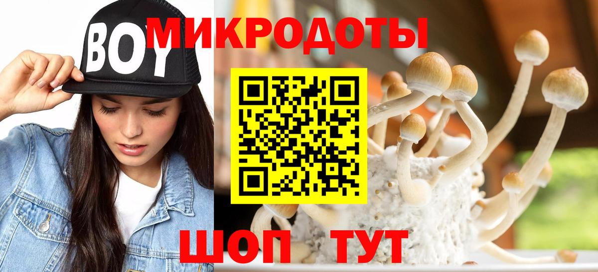 Электросталь  Псилоцибиновые грибы ЛСД  Вход с VPN 